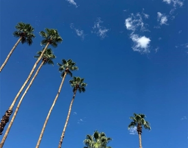 2701 E Mesquite - Photo Thumbnail 2