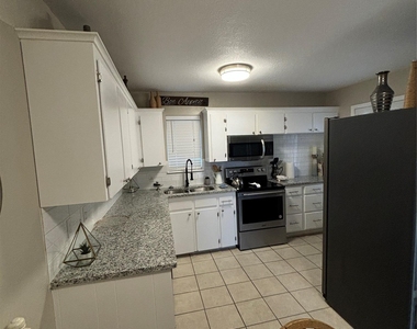 1307 Sherry Ln - Photo Thumbnail 18