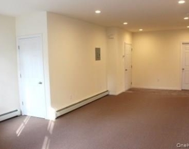 209 S Division Street - Photo Thumbnail 2