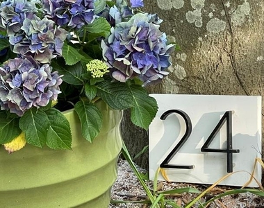 24 Cliff Way - Photo Thumbnail 37