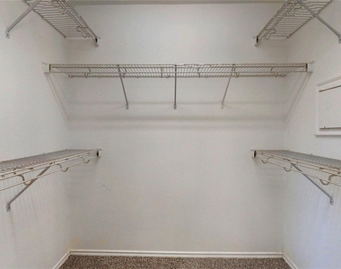 6007 Baldwin Elm Street - Photo Thumbnail 20