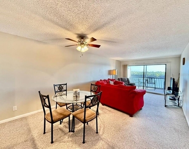 821 Bahia Del Sol Drive - Photo Thumbnail 9