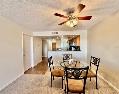 821 Bahia Del Sol Drive - Photo Thumbnail 10