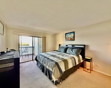 821 Bahia Del Sol Drive - Photo Thumbnail 15