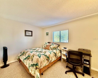 821 Bahia Del Sol Drive - Photo Thumbnail 19