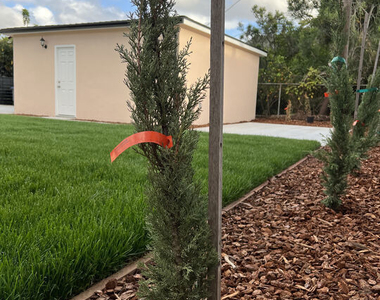 15605 S Berendo Avenue - Photo Thumbnail 5