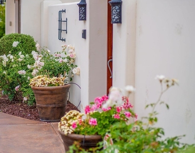 604 Camino De Orchidia - Photo Thumbnail 26