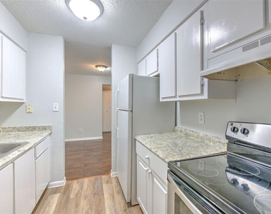 13403 Arbor Pointe Circle - Photo Thumbnail 13