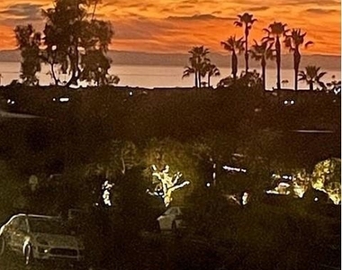 504 Avocado Avenue - Photo Thumbnail 22