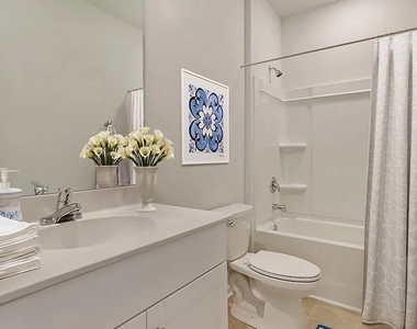153 Pembroke Street - Photo Thumbnail 3