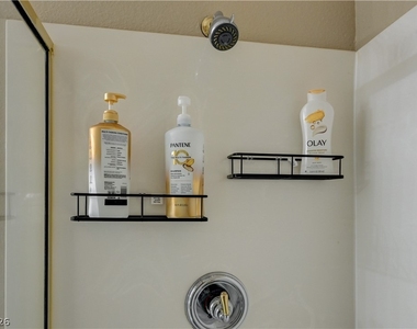 268 Copper Glow Court - Photo Thumbnail 59