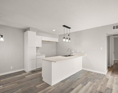 910 Duncan Ln - Photo Thumbnail 4