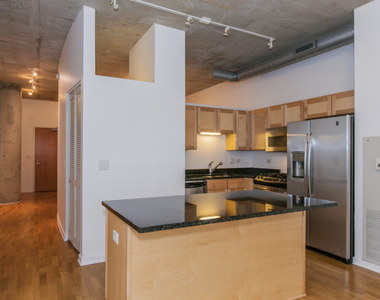 700 N Larrabee Street - Photo Thumbnail 9