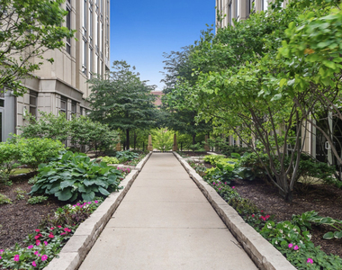 700 N Larrabee Street - Photo Thumbnail 15