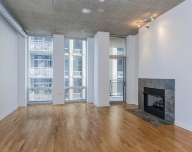 700 N Larrabee Street - Photo Thumbnail 10