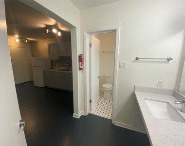 219 West Alabama - Photo Thumbnail 7