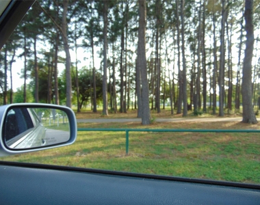 8603 Rustling Leaves Drive - Photo Thumbnail 41