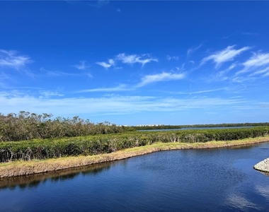 1216 Spoonbill Landings Circle - Photo Thumbnail 6