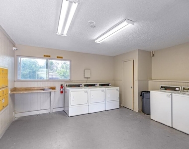 1004 Allena Drive - Photo Thumbnail 10