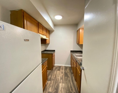 1004 Allena Drive - Photo Thumbnail 2