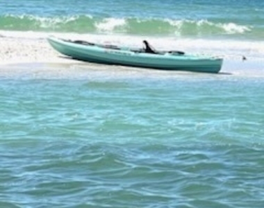 6040 Pelican Bay Boulevard - Photo Thumbnail 14