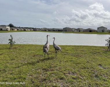976 Trinity Street - Photo Thumbnail 49