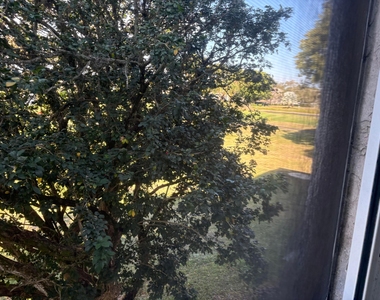 4602 Martinique Way - Photo Thumbnail 22