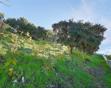 3952 Oakfield Drive - Photo Thumbnail 38