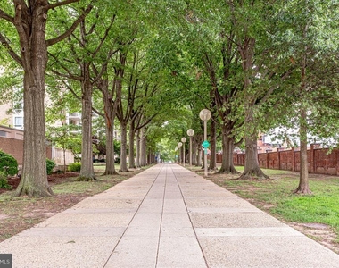 1425 4th Street Sw - Photo Thumbnail 11