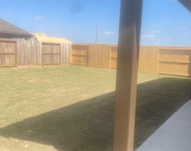 30310 Tall Fescue - Photo Thumbnail 26