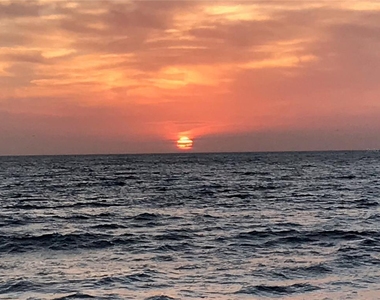 1250 Gulf Boulevard - Photo Thumbnail 26