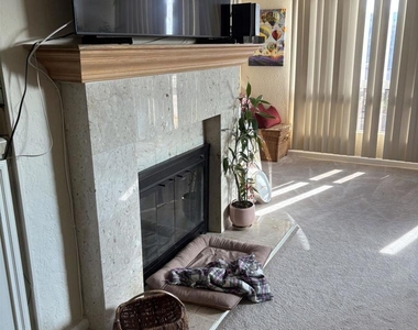 4193 Rueda Dr. - Photo Thumbnail 14