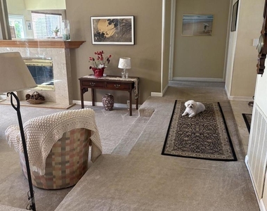 4193 Rueda Dr. - Photo Thumbnail 6