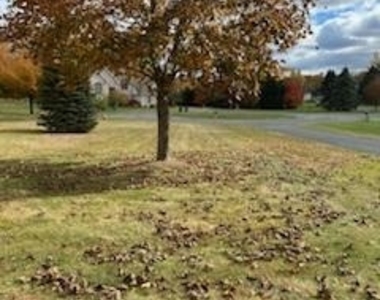 209 Samuel Court - Photo Thumbnail 57