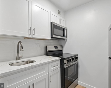 224 W Rittenhouse Square - Photo Thumbnail 11