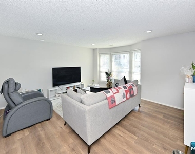 250 Larch - Photo Thumbnail 5