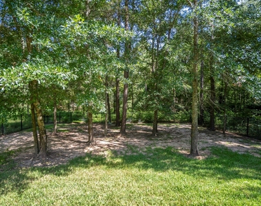 11306 Longmire Creek Court - Photo Thumbnail 45