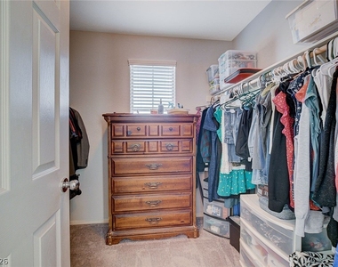 1045 Spotted Saddle Street - Photo Thumbnail 12