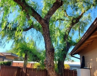 6841 Mohawk Street - Photo Thumbnail 22