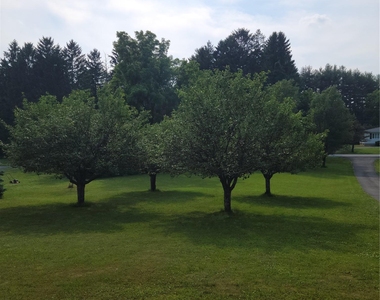 1406 Route 82 - Photo Thumbnail 24