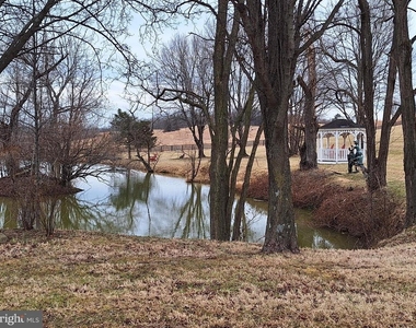 2254 Winchester - Photo Thumbnail 38