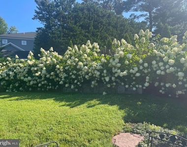 8807 Ridge Road - Photo Thumbnail 6