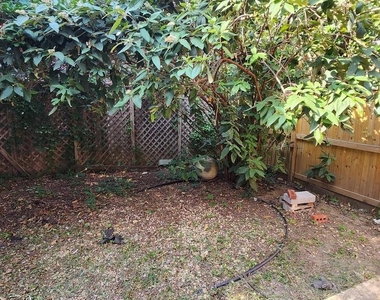 459 M Street Nw - Photo Thumbnail 5