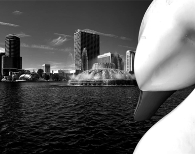 150 E Robinson Street - Photo Thumbnail 38