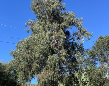 2371 Foster Avenue - Photo Thumbnail 19