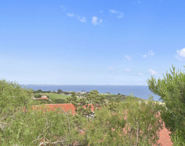24728 Vantage Point Terrace - Photo Thumbnail 26