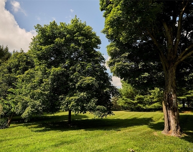 41 Seelbach Lane - Photo Thumbnail 36