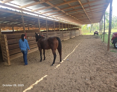 4915 W Fm 1462 - Photo Thumbnail 6