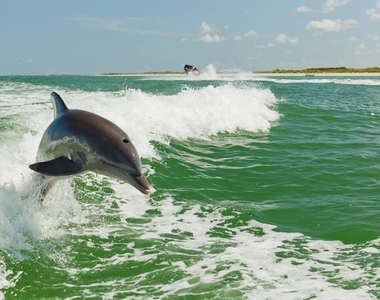10265 Gulf Boulevard - Photo Thumbnail 2