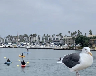 116 W Channel Islands Boulevard - Photo Thumbnail 30